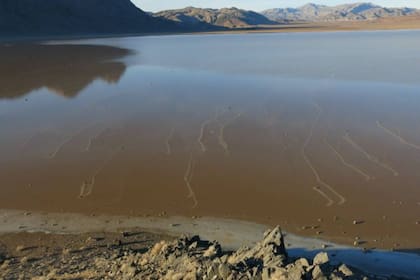 RIchard Norris y el equipo de investigación pudieron constatar el movimiento de cientos de rocas, todas impulsadas por las delgadas capas de hielo que empujaba el viento en la superficie de las aguas