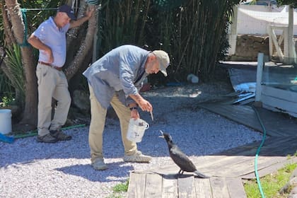Richard Tesore de SOS Rescate Fauna Marina, un hombre que tiene sus admiradores incondicionales pero también sus enemigos acérrimos en Punta Colorada Foto: Ricardo Figueredo.
