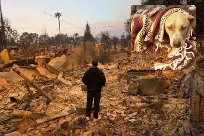 Rick Miller, revisaba la casa de un amigo en Altadena, y encontró a un perro atrapado entre los escombros. "Supe que no podía dejarlo allí", declaró