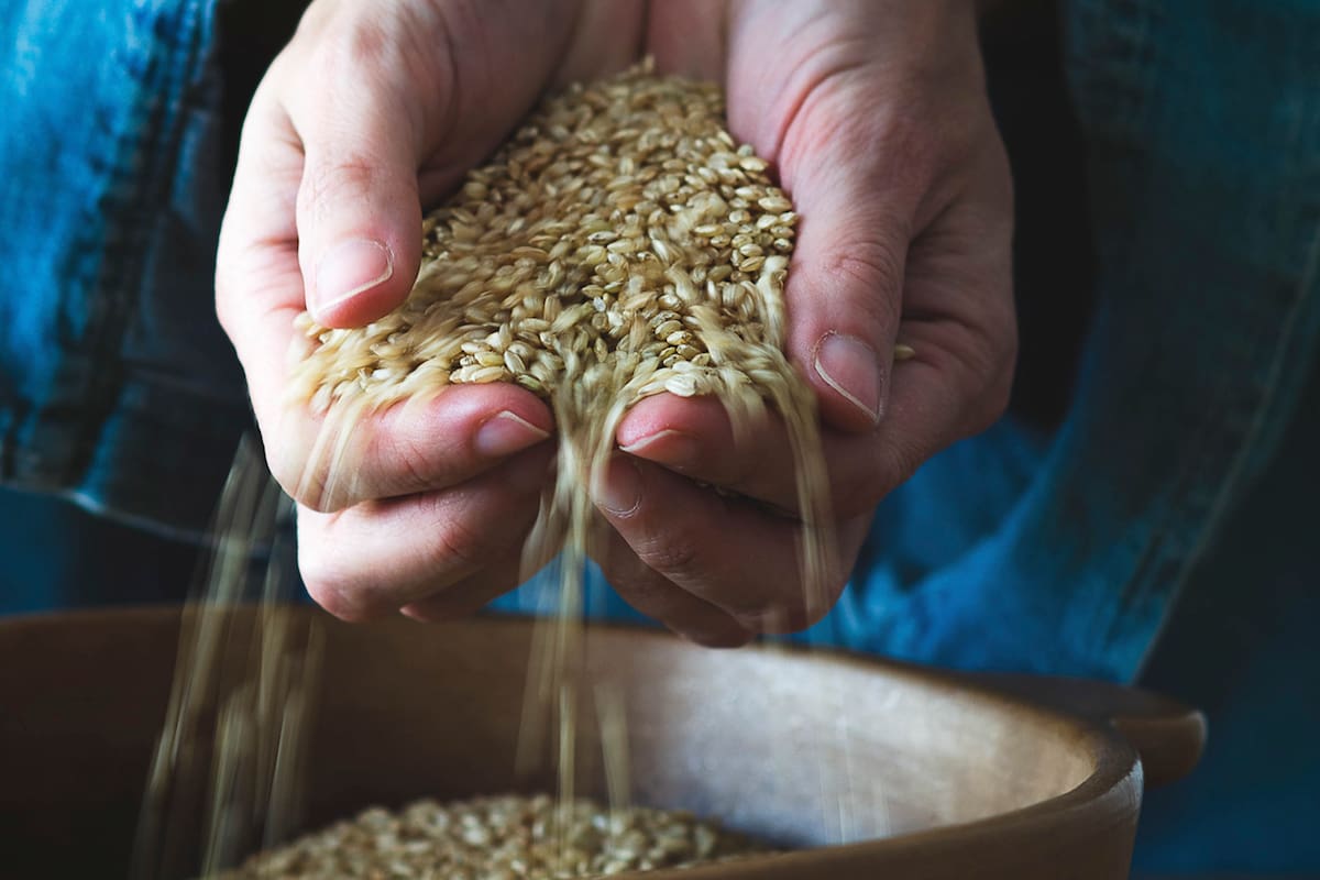 Rico en fibra insoluble, vitaminas del complejo B y con un índice glucémico más bajo que el arroz blanco