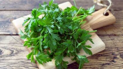 Rico en flavonoides, clorofila, vitamina K y aceites esenciales, el perejil tiene un perfil nutricional potente