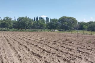La decisiva intervención del INTA que cambió todo en una zona árida de Catamarca