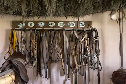 Riendas y monturas en el monturero