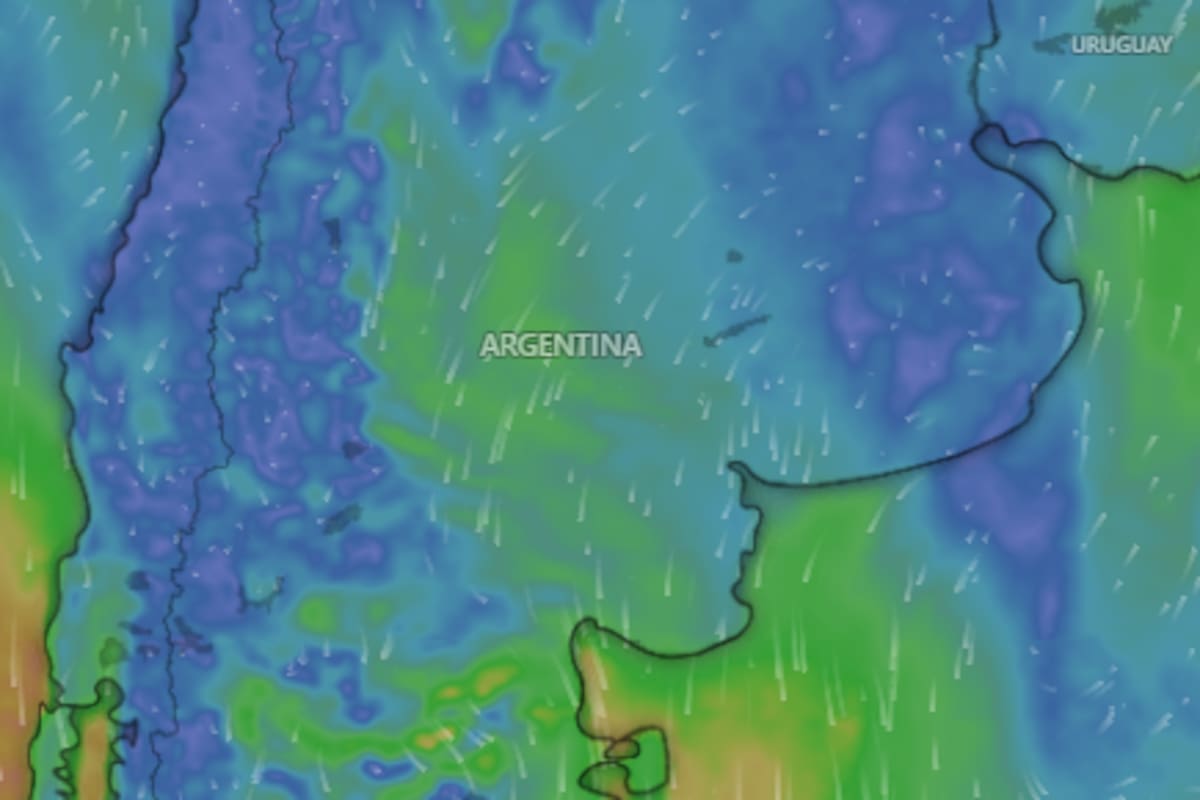 Rigen alertas por lluvias, nevadas, vientos y viento Zonda en diferentes provincias argentinas