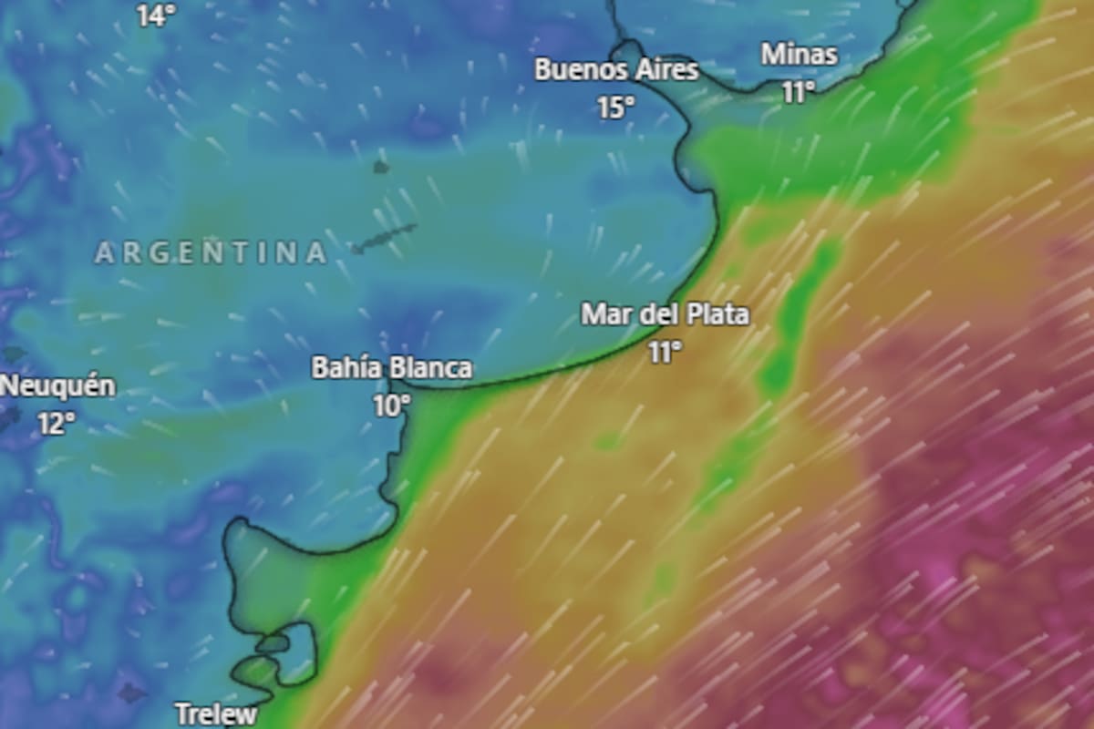 Rigen alertas por nevadas en dos provincias argentinas