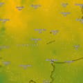 Emiten una alerta naranja y amarilla por nevadas, lluvias, vientos y Zonda para este miércoles
