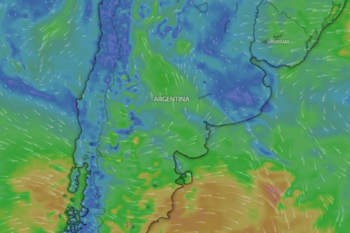 Rigen alertas por nevadas y viento Zonda en diferentes provincias argentinas