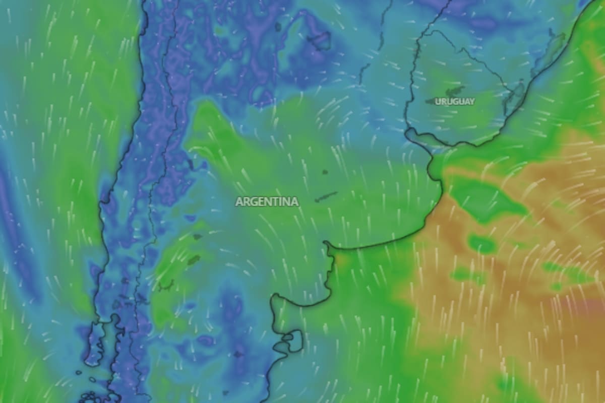 Rigen alertas por nevadas y vientos en diferentes provincias argentinas