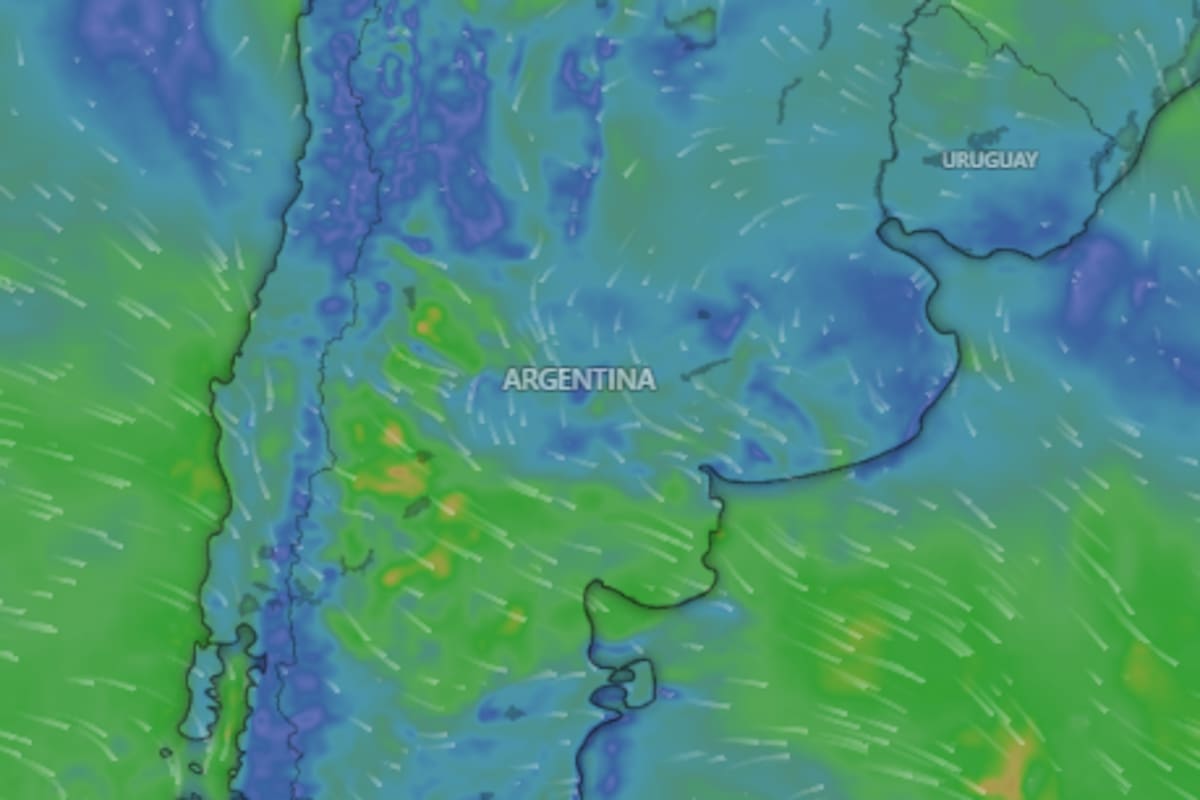 Rigen alertas por vientos, tormentas, nevadas y viento Zonda en diferentes provincias