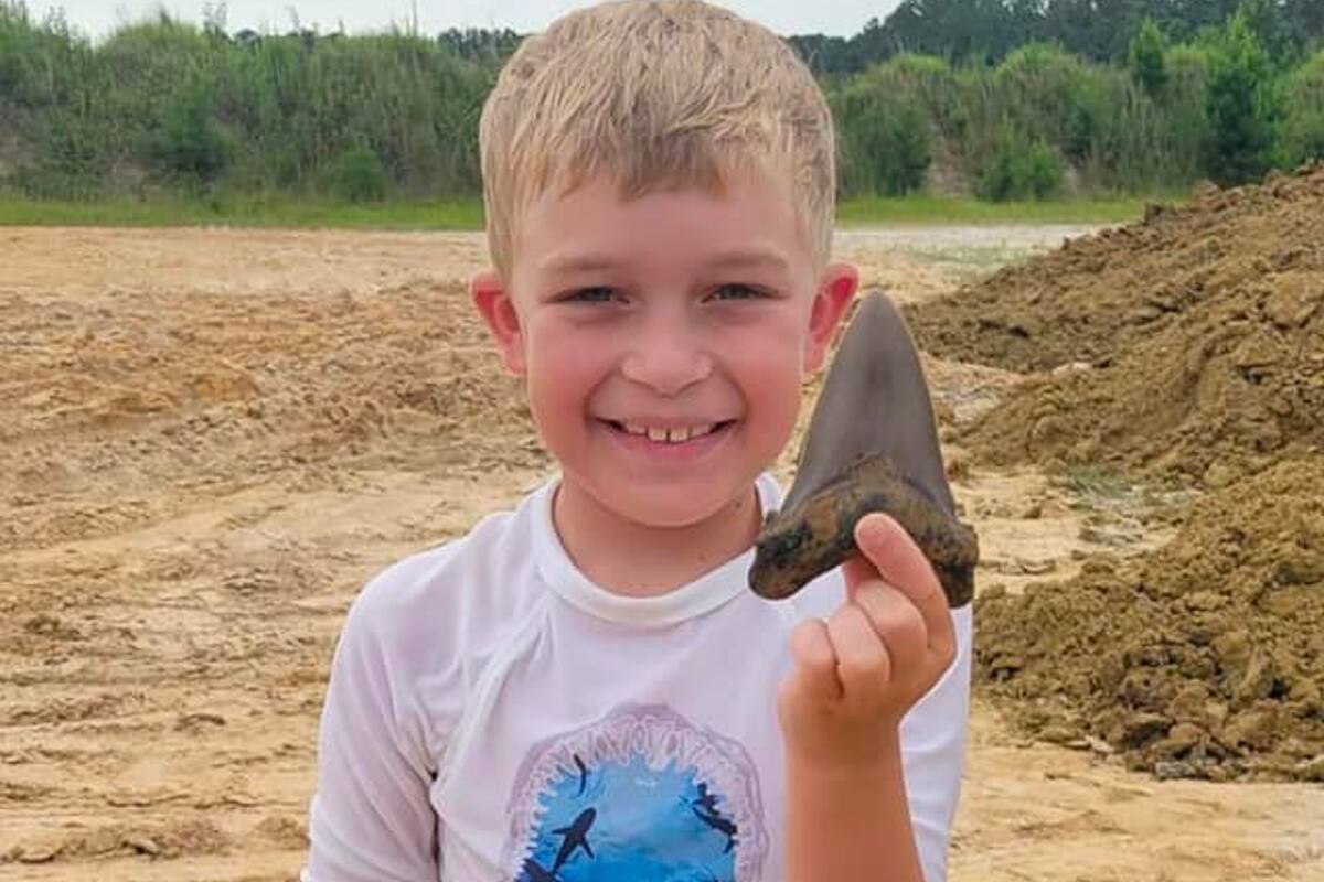 Riley Gracely, el pequeño de Carolina del Sur que encontró un enorme y prehistórico fósil