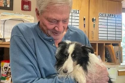 Riley, un Sheltie de 9 años, se reunió con su dueño después de pasar 5 semanas perdido en una montaña de Colorado. (Foto: Summit County Animal Control & Shelter)