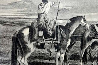 La cola del caballo debe ser un orgullo, no un problema