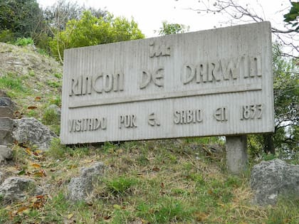 Rincón de Darwin, en el hito del kilómetro 0 del estuario del Río de la Plata, recuerda dónde se afincó el naturalista Charles Darwin por seis meses para estudiar la geología de la zona.