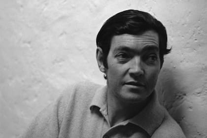 Julio Cortázar