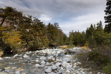 Río Cariileufú casi en la desembocadura del lago Rivadavia