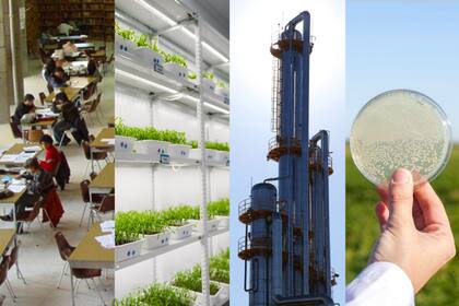 Río Cuarto es una ciudad donde el sector público y el privado buscan potenciar el ecosistema agtech