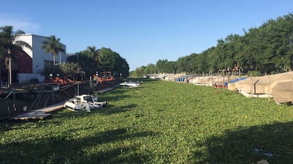 Río Lujan, a a pocos metros del Puerto de frutos