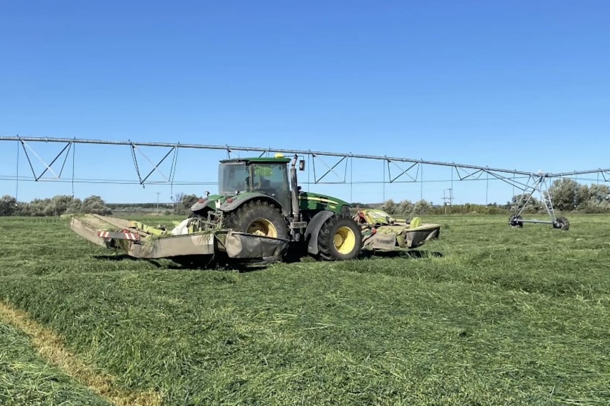 Río Negro cuenta con casi 27.000 hectáreas cultivadas en los distintos valles