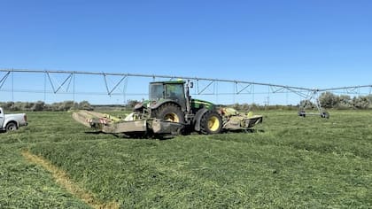 Río Negro cuenta con casi 27.000 hectáreas cultivadas en los distintos valles