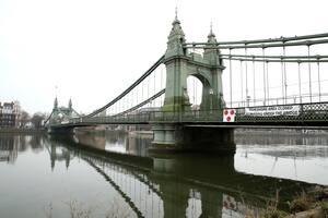 Río Tamesis; Londres; el mundo; focas; lobos marinos; caballitos de mar; cambio clim´tico; medio ambiente