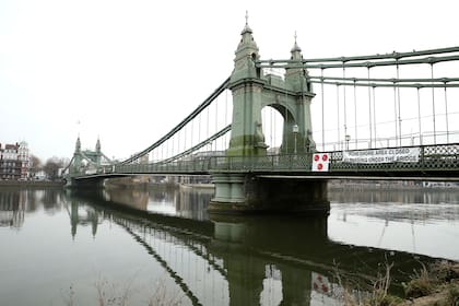 Río Tamesis; Londres; el mundo; focas; lobos marinos; caballitos de mar; cambio clim´tico; medio ambiente