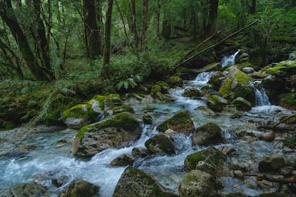 Ríos de aguas cristalinas en el valle Cochamó