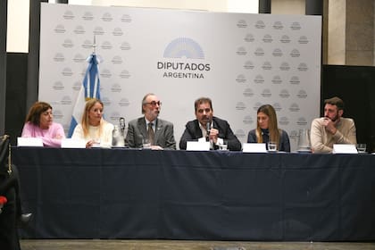 Ritondo, acompañado por el bloque Pro, en conferencia de prensa para impulsar el proyecto de ficha limpia