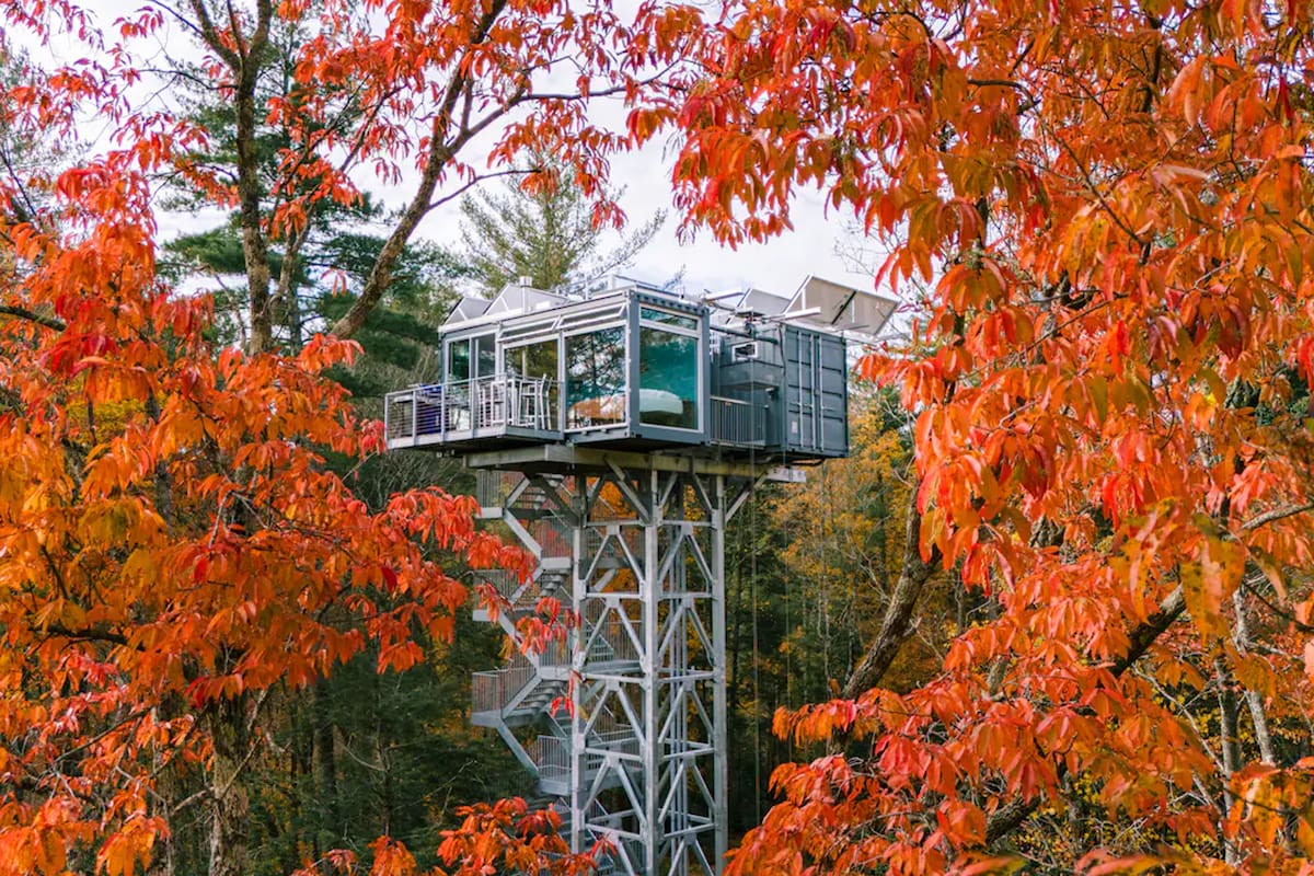 River Forest Lookout, lleva el diseño de su propietario: el arquitecto Mark Derenthal