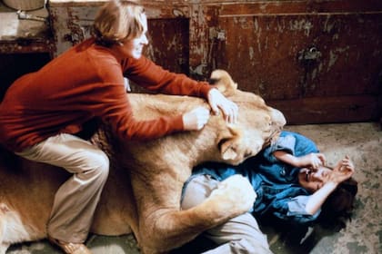 Roar se terminó convirtiendo en una película de culto a raíz de su traumática filmación