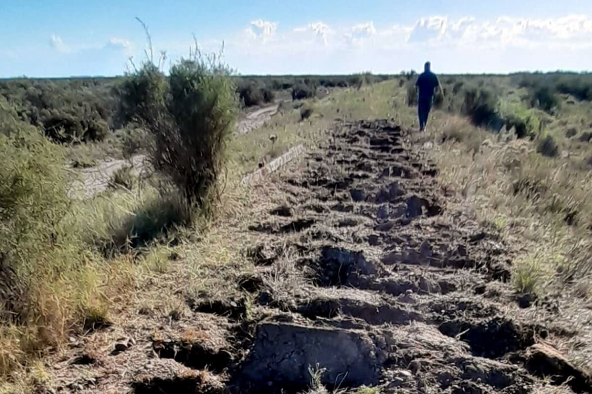 Robaron miles de metros de rieles y cientos de durmientes del Tren Patagónico entre Bahía Blanca y Carmen de Patagones