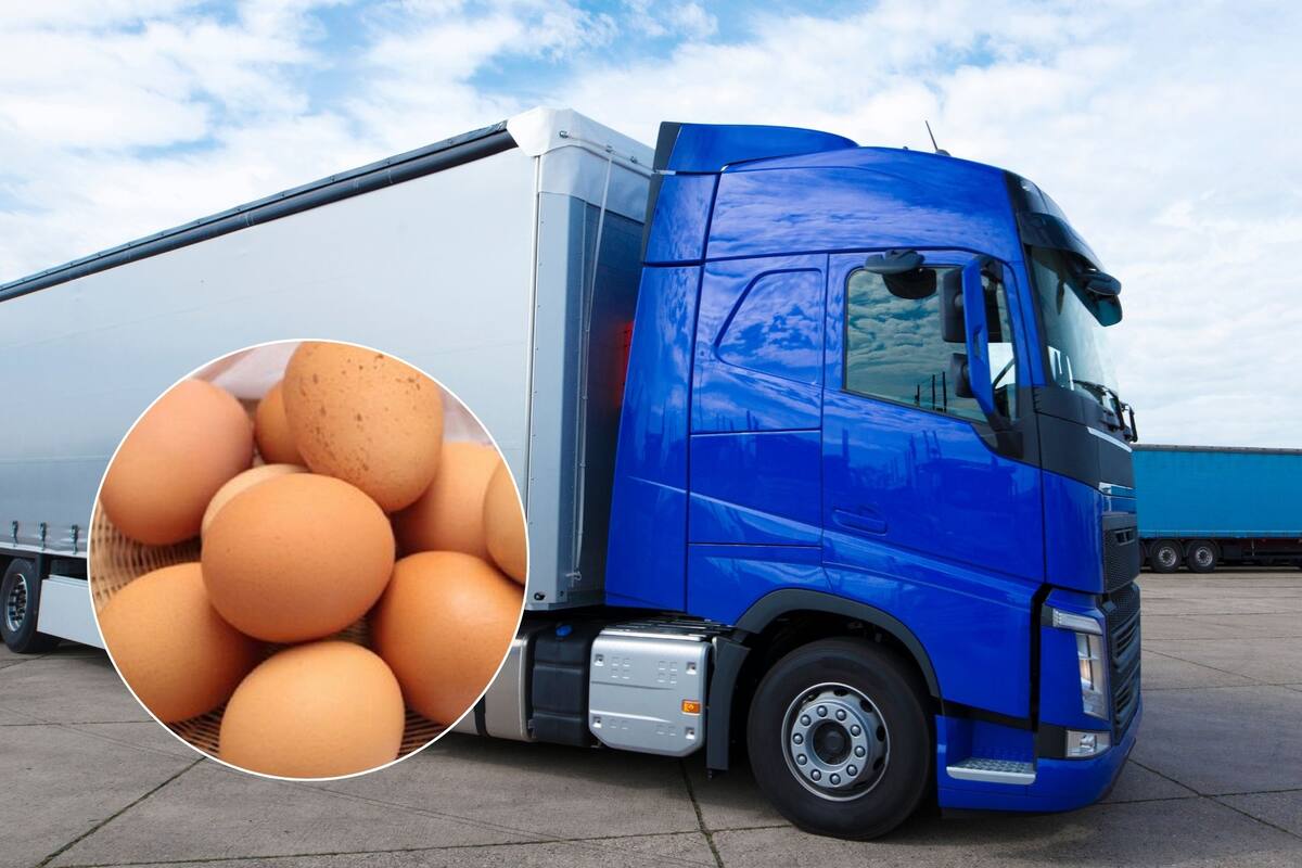 Robaron un camión que transportaba huevos valorados en miles de dólares