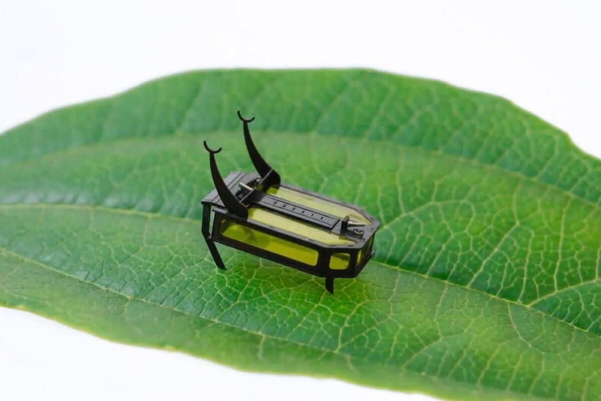 RoBeetle usa metanol líquido como combustible; pesa 88 gramos, puede andar dos horas con el tanque lleno, y llevar hasta 2,6 veces su peso