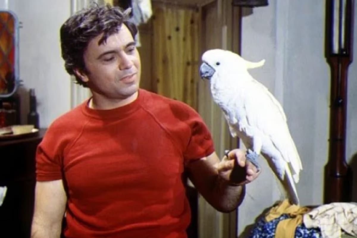 Robert Blake