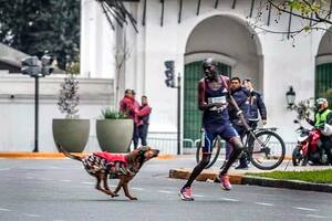 Iba primero en la Maratón de Buenos Aires, un perro lo atacó en medio de la carrera y finalizó tercero