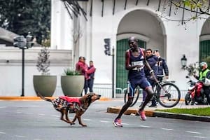 Iba primero en la Maratón de Buenos Aires, un perro lo atacó en medio de la carrera y finalizó tercero