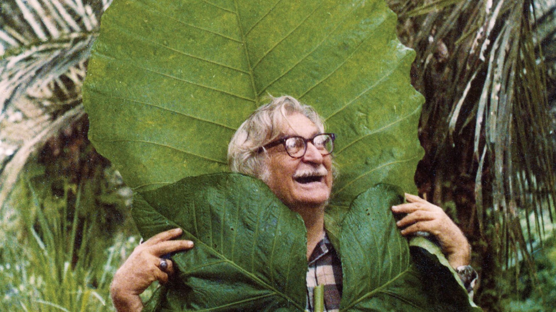 Roberto Burle Marx