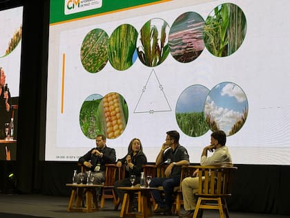 Roberto De Rossi, ingeniero agrónomo y fitopatólogo; Cristina Plazas, bióloga de Bayer; Marcelo Madalosso, fitopatólogo brasileño y y Fernando Guerra, gerente de desarrollo de maiz de GDM para Illinois