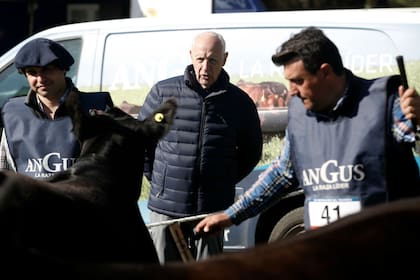 Roberto Lavagna, atento a la jura de la raza Angus