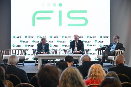 Roberto Silva, presidente de la CNV, participó del IAEF