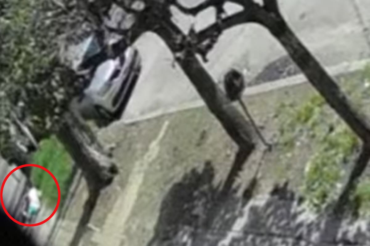 Robo en tres de febrero, votante ; rehén