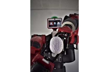 Robot utilizado por el grupo de investigación Neurociencia Computacional Aplicada de la Universidad de Granada