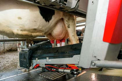Robots de Lely que se instalarán en cinco tambos el país