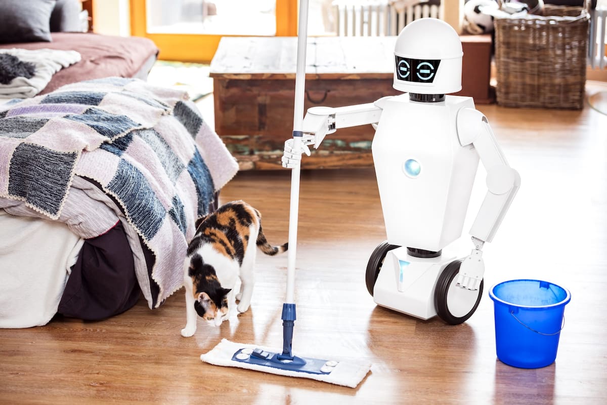 ¿Robots en las casas del futuro?