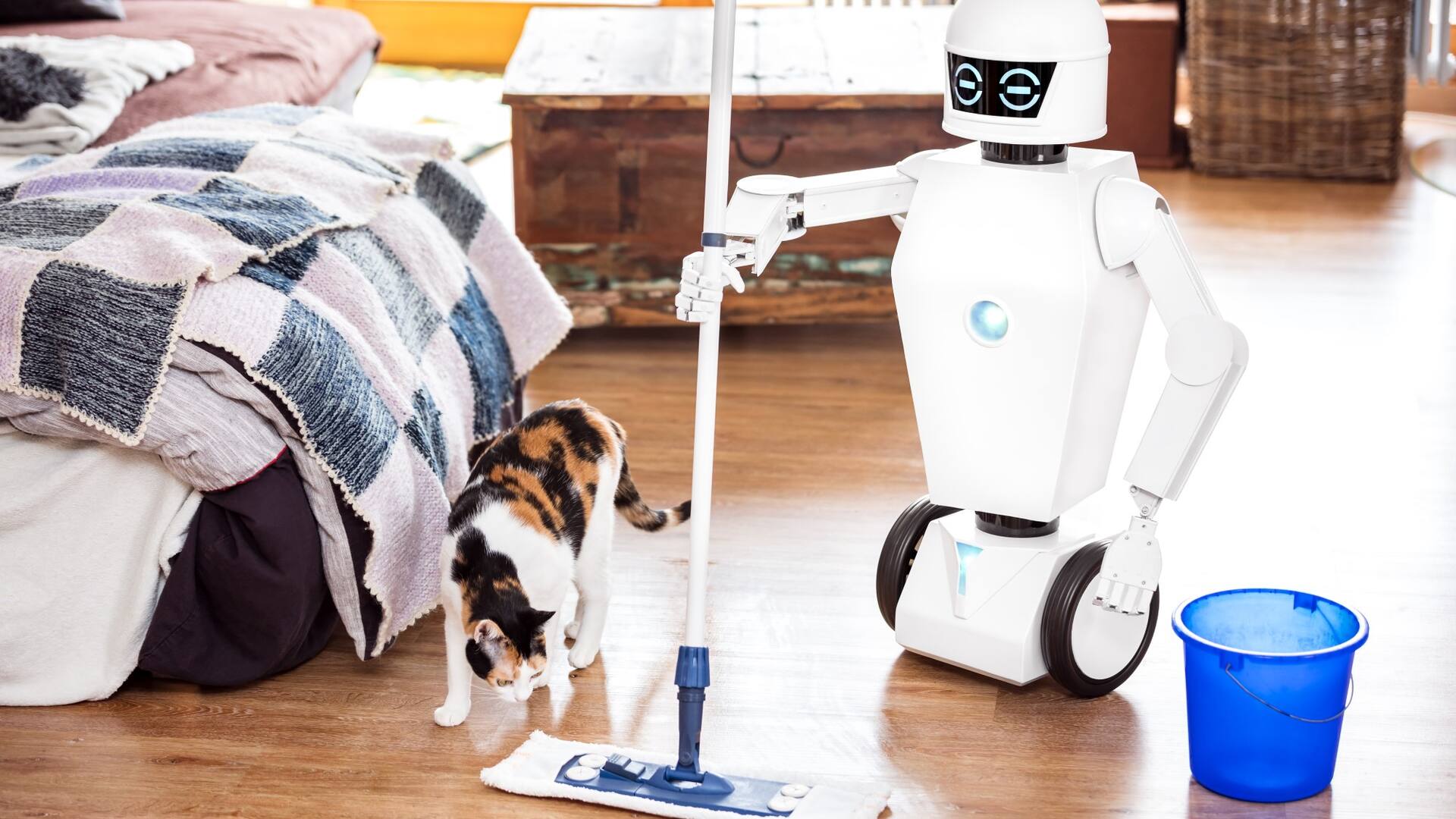 ¿Robots en las casas del futuro?