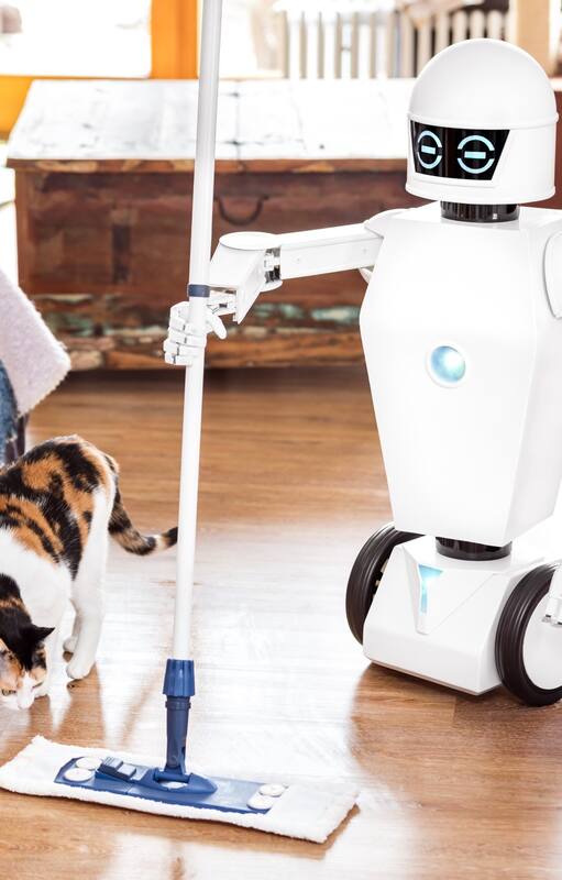 ¿Robots en las casas del futuro?