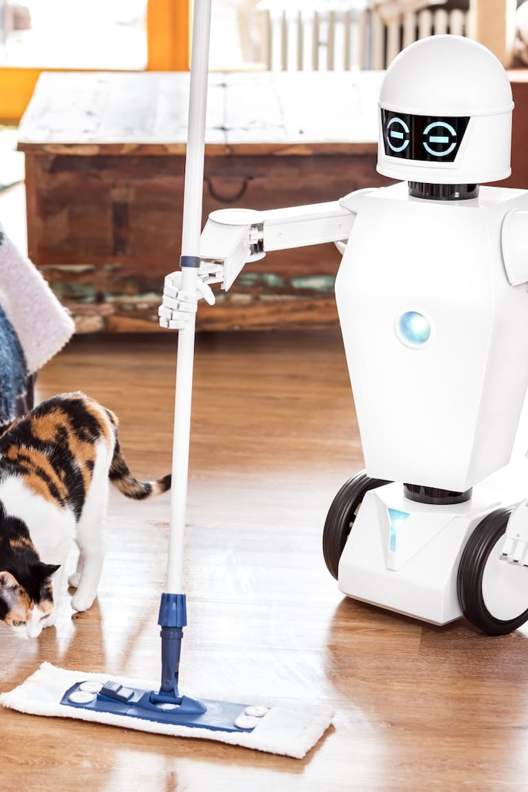 ¿Robots en las casas del futuro?