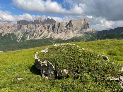 Rocas vestidas de flores en Passo Giau.