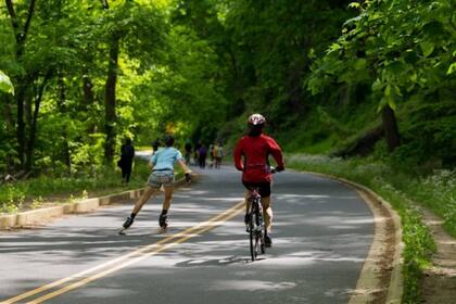Rock Creek Park, el pulmón verde del barrio