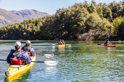 Rodeados por los árboles que inspiraron a Walt Disney, un circuito en kayak por las aguas turquesas del río Arrayanes