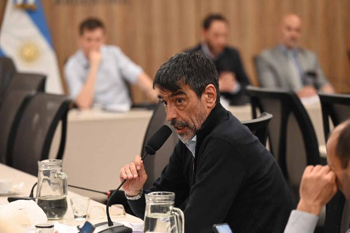 Rodolfo Tailhade, diputado de UxP